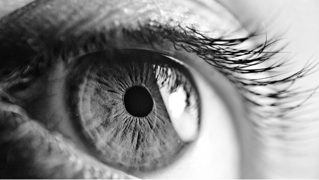 eye