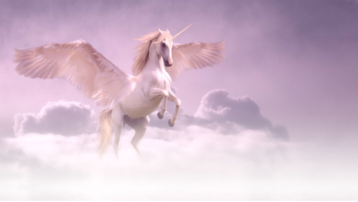 unicorn
