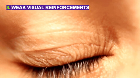 visual-reinforcements