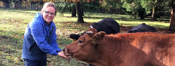 Blog Post Hero: Lady-with-Cow.jpg
